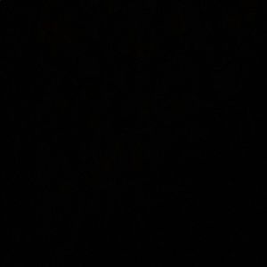 Meet your Posher, Joanna